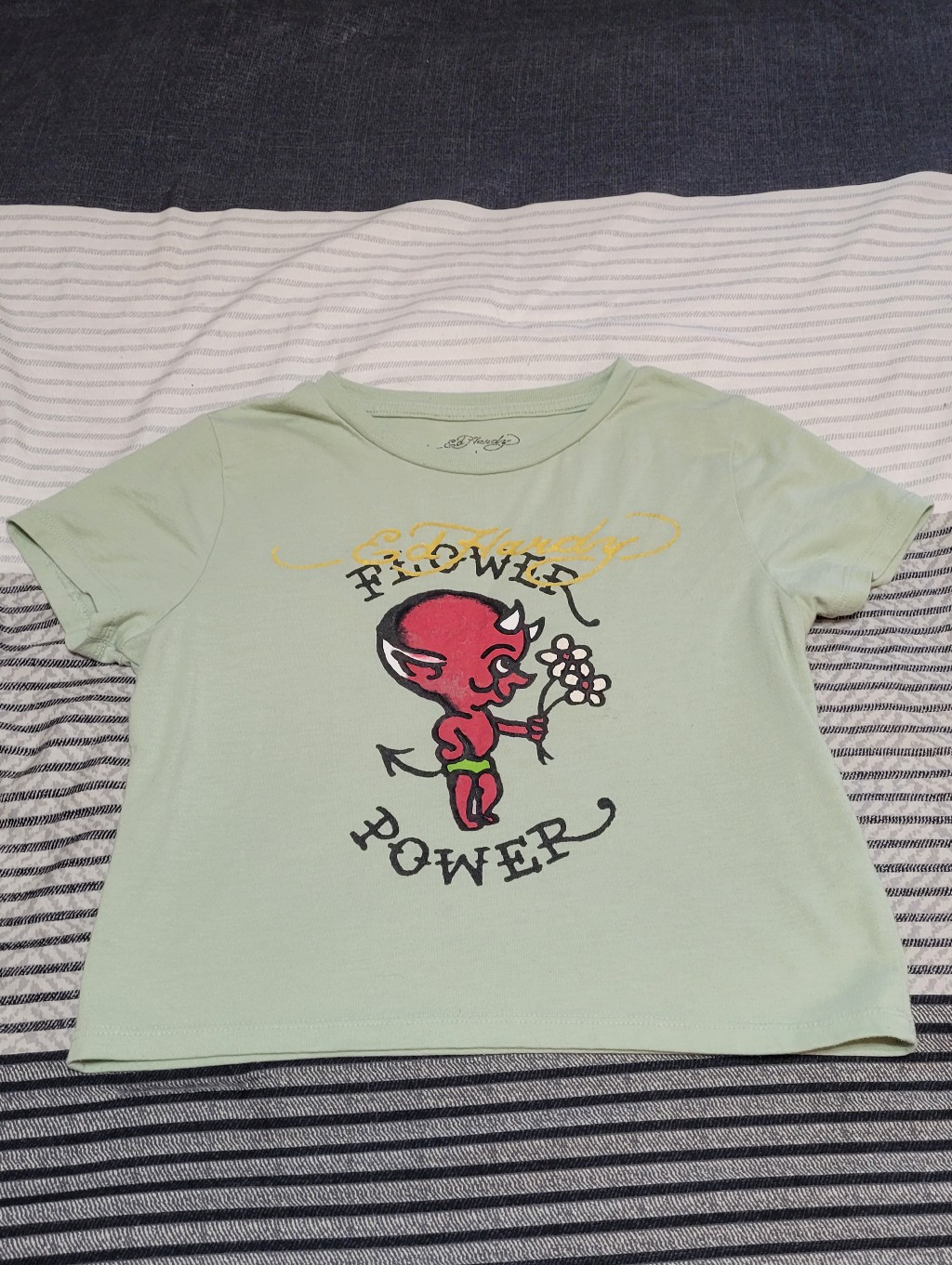 Ed Hardy Sage Green Baby Devil Crop Top T-Shirt Size Large
